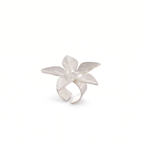 FLOR ESTRELLADA