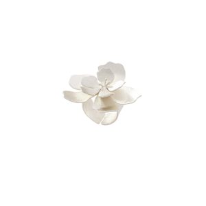 FLOR ORQUIDEA